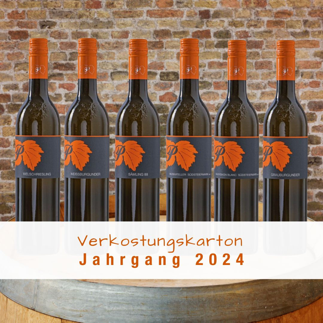 Verkostungskarton Jahrgang 2024