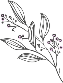 sc_designelements_floral 1 (1).png
