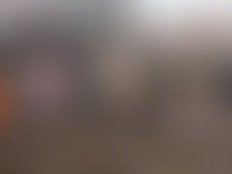 Egg Hunt Eggstravaganza