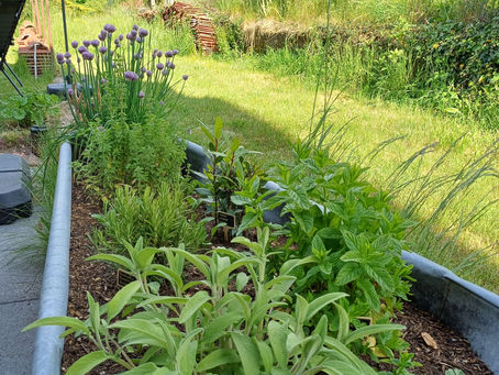 Kreativ bepflanzte alte Badewanne im Garten des Gästehauses, gefüllt mit frischen Küchenkräutern wie Lorbeer, Schnittlauch und Salbei – nachhaltig, charmant und praktisch zugleich.