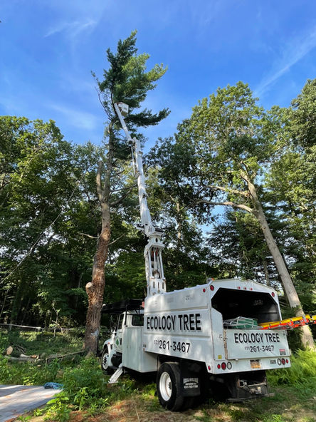 Photo Aug 15 2022, 8 28 04 AM.jpg