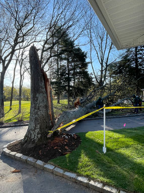 Photo Apr 29 2022, 7 45 07 AM.jpg