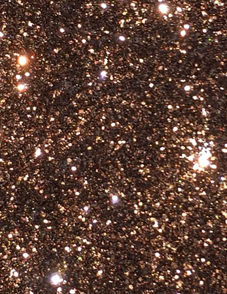 Girls in Gowns! (3).png