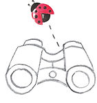 Ladybug_Icon_Binocular_edited.jpg