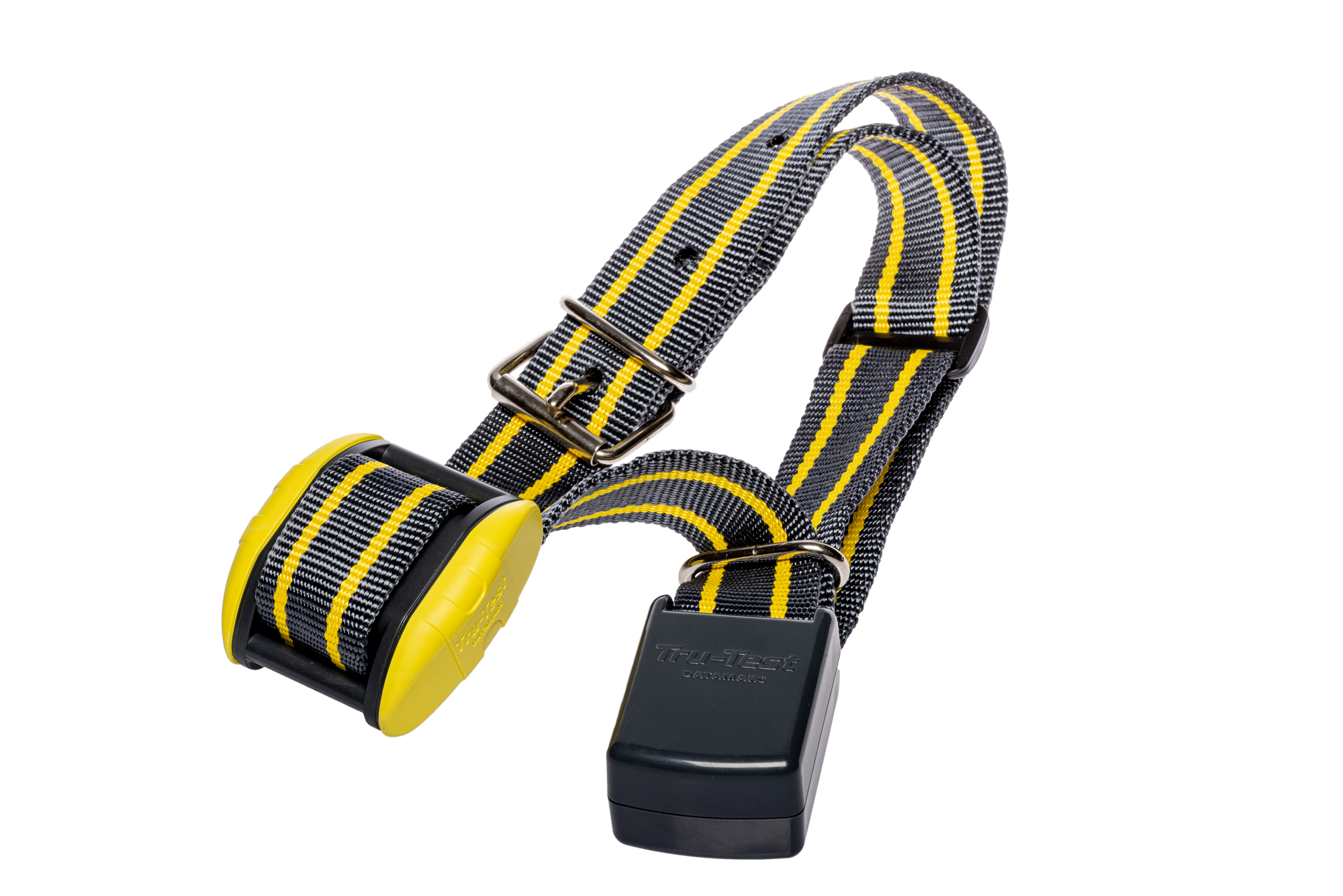 Tru-Test Active Tag Collar