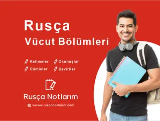 Rusça Vücut Bölümleri Kelimeleri & Cümleleri ve Okunuşları
