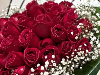 Güllerin Renklerinin Anlamları