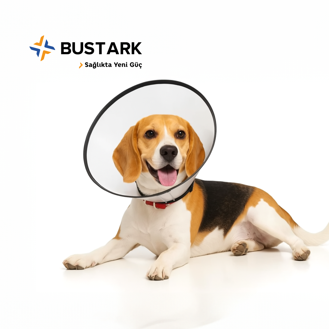 Bustark Kedi Köpek Comfy Collar Dikişli Yakalık 15cm