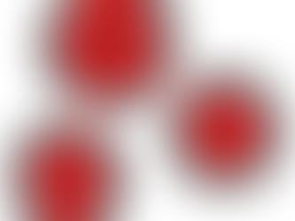 COVID-19：行政情報へのアクセス