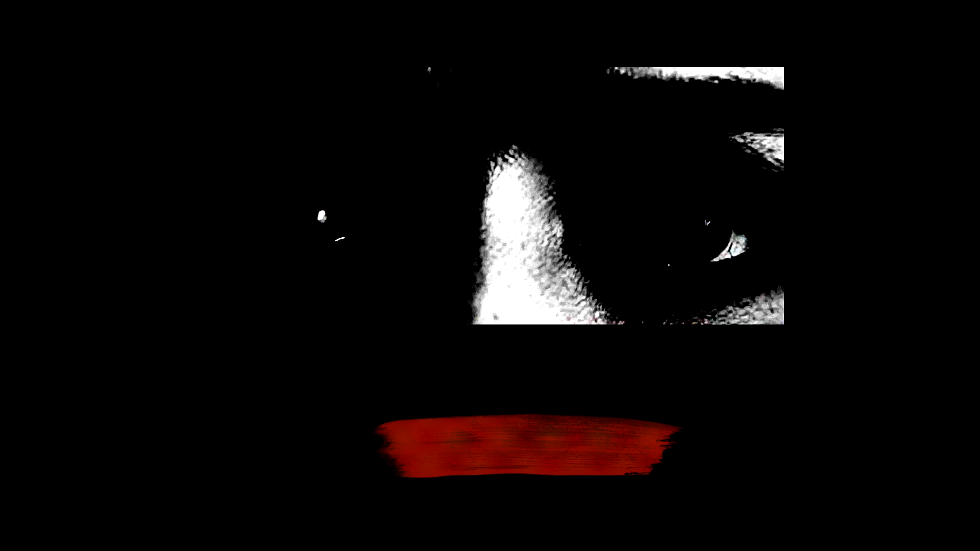 Eyes Talk5.gif