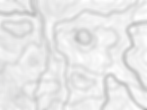 topo background.jpg
