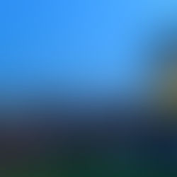 Reunion Fever Continues: Welcome Home Class of 2005