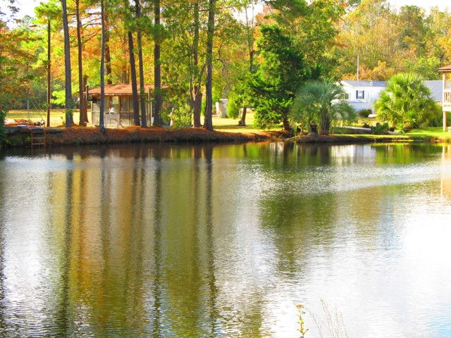 CYNA @ Sunbare 5k at Whispering Pines
