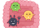 果寡糖.png