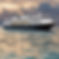Please add a picture of an authentic realistic small luxury cruise ship.jpg