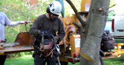 grenpine web photo 10.png