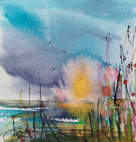 516599892_1407054537197115_725862243015310407_n