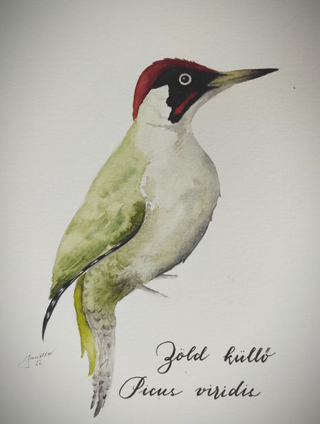a watercolor painting of a green woodpecker with a red head