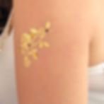 Rose deco 5000+stone