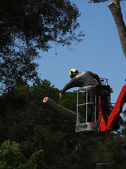 Our crew, while working on a job.
