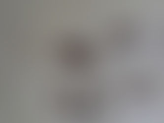 여러갈래하루살이(Thraulus grandis)