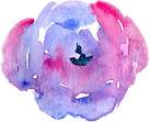 25006 (12).png