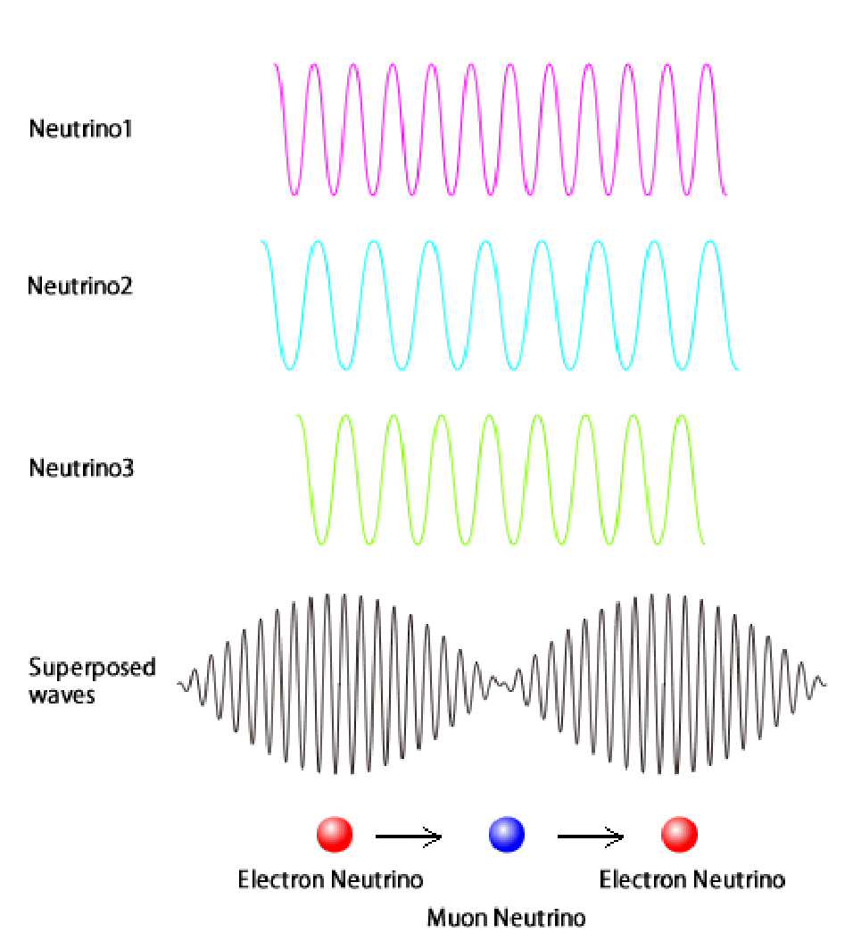Each type of neutrino is unique and is represented by its unique waveform in the diagram. But while travelling in space and time, it behaves a superimposition of all the waveforms and hence keeps on shifting its identity as shown.