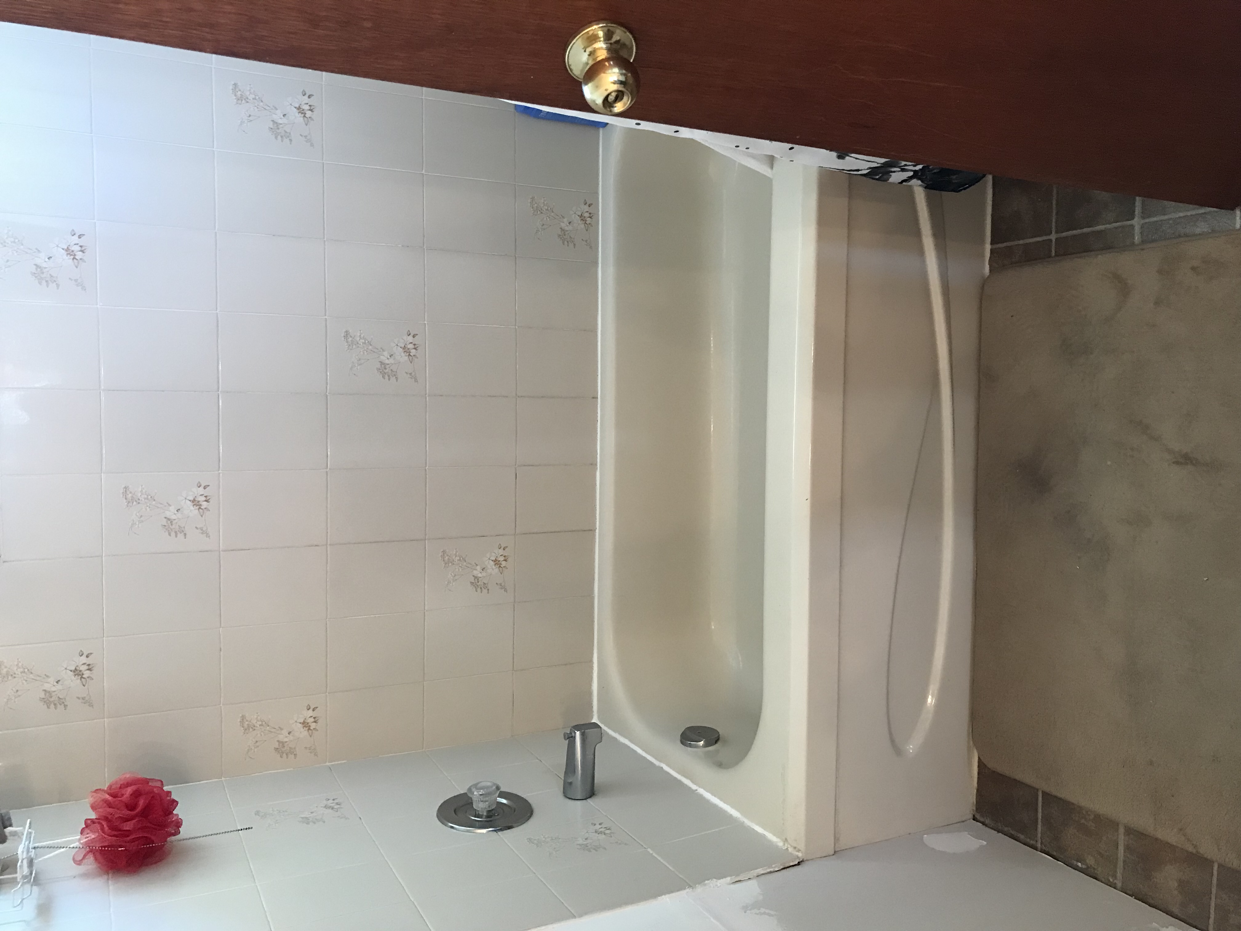 Shower before renovation