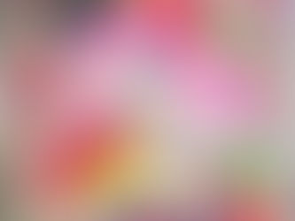 はぴやべにまる in GIFT2024
