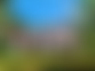 CASA ROBERTO MARINHO - O encontro da arquitetura neocolonial com a Floresta da Tijuca.