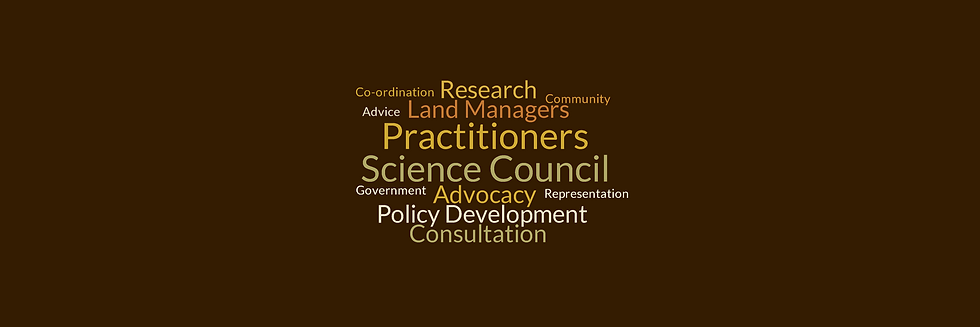wordcloud3.png