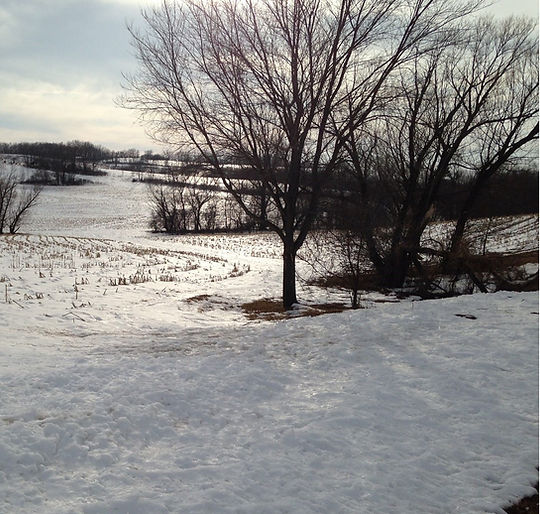 winter scene.JPG