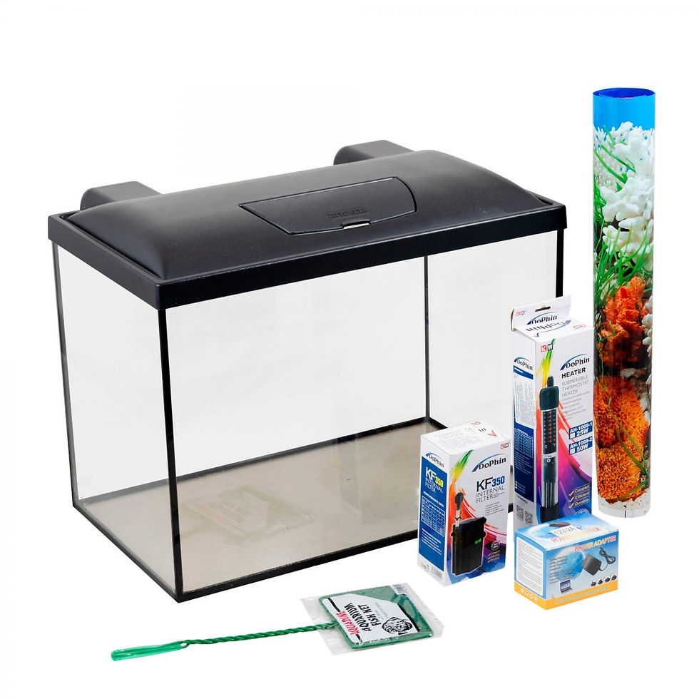 Комплект СКАЛЯРІЯ LED 54л Прямий