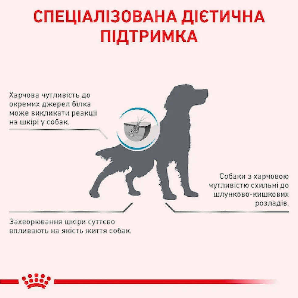 Прев'ю: Сухий корм для собак за харчової алергії Royal Canin Hypoallergenic 14кг
