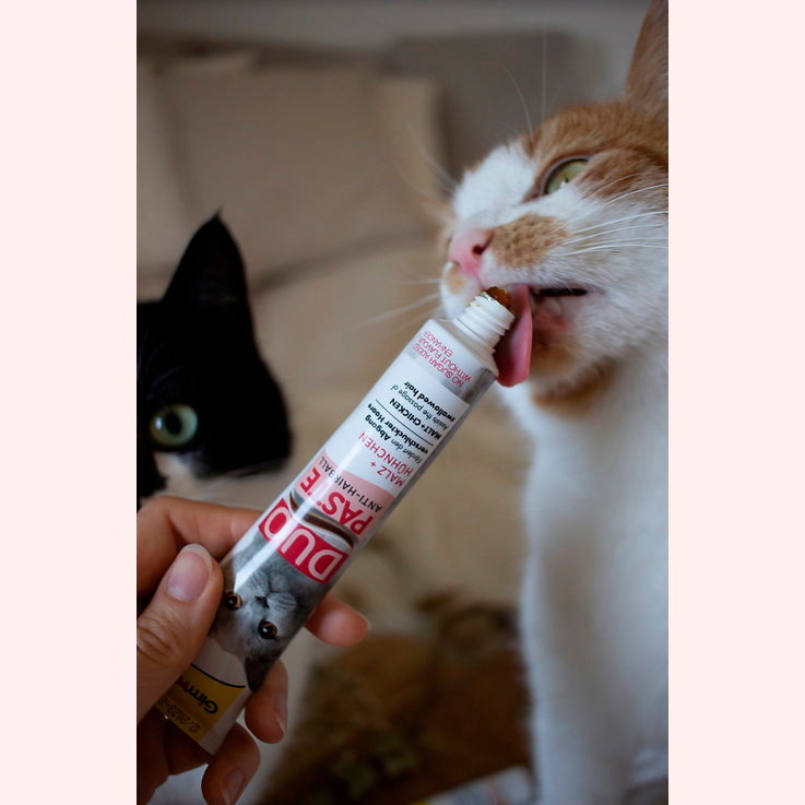 Прев'ю: Ласощі для котів GimCat Duo Paste Anti-hairboll 50 г - курка та мальт