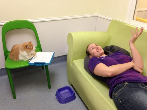 Як зменшити алергічну реакцію на домашніх тварин у людей