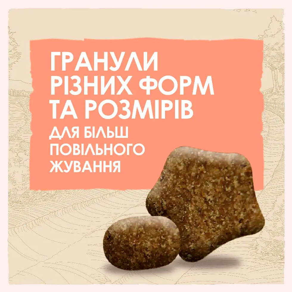 Прев'ю: Сухий корм для дорослих собак із чутливим травленням Dog Chow Sensetive 14 кг