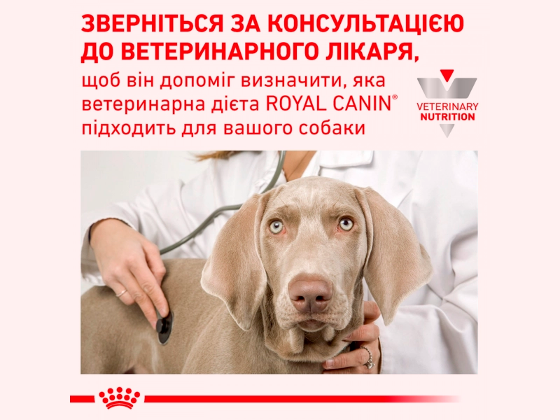 Прев'ю: Royal Canin RENAL вологий корм для собак при нирковій недостатності  410 г