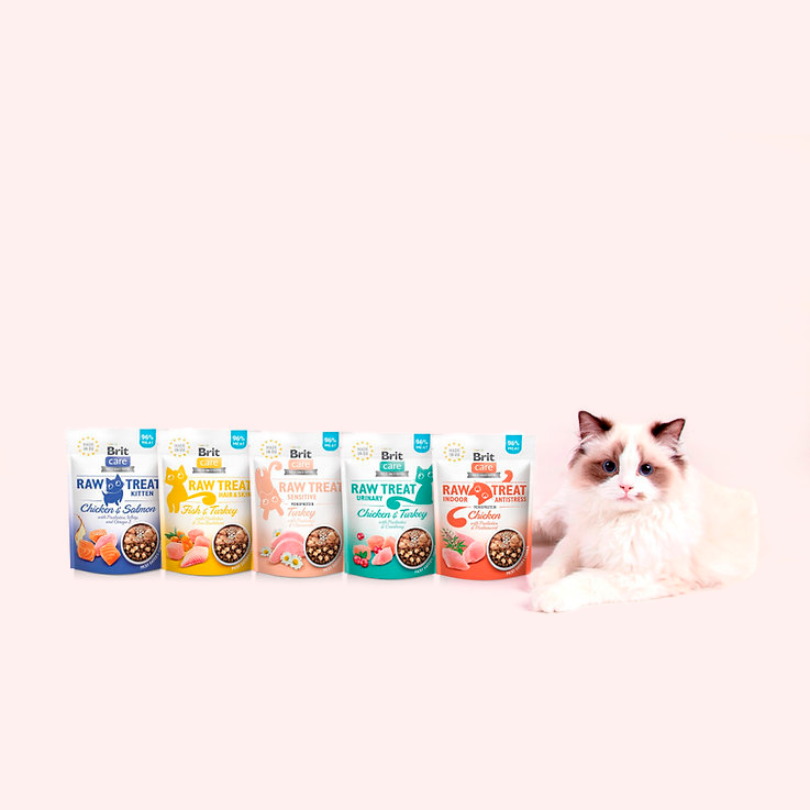 Прев'ю: Ласощі для котів Brit Raw Treat Urinary Freeze-dried з куркою та індичкою, 40 г