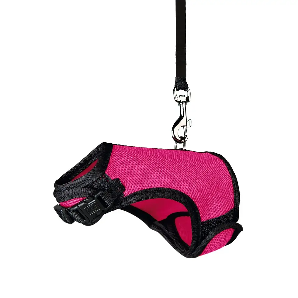 Шлейка з повідцем для морської свинки Trixie нейлон Soft кольори в асортименті