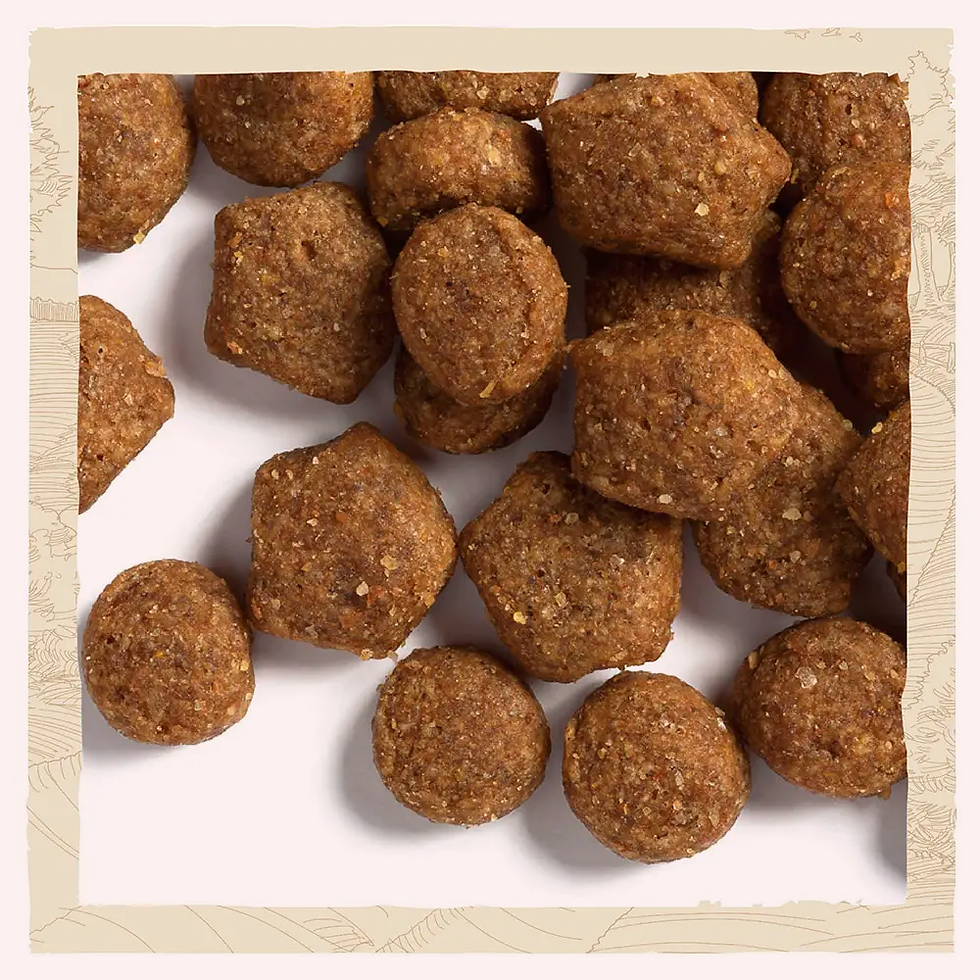 Прев'ю: Сухий корм для цуценят всіх порід Dog Chow Puppy Lamb 14 кг (ягня)
