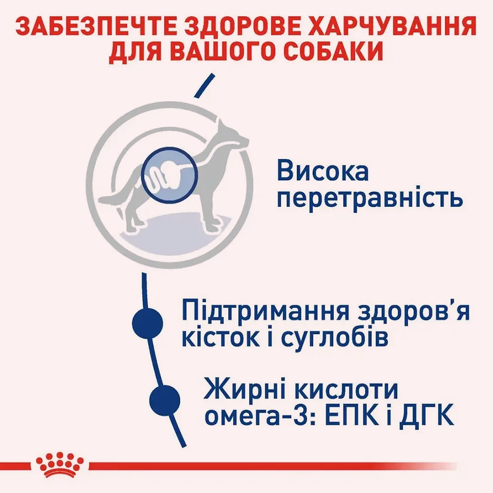 Прев'ю: Сухий корм для собак великих порід Royal Canin Maxi Adult 15 кг домашня птиця