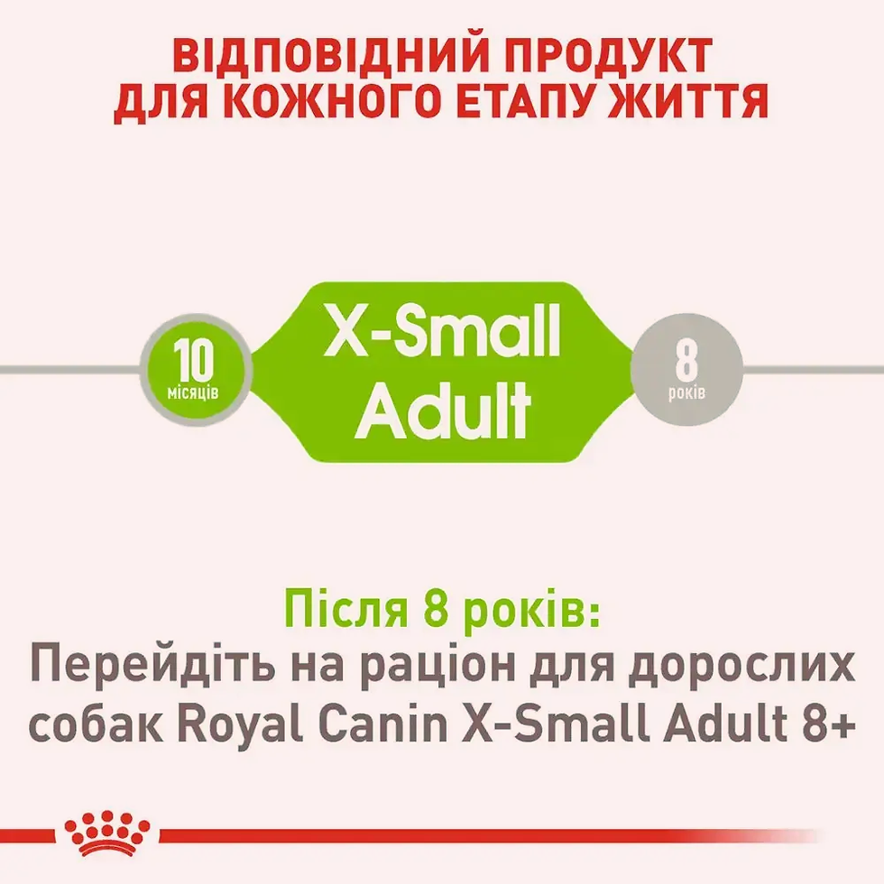 Прев'ю: Сухий корм для собак дрібних порід Royal Canin X-Small Adult 3кг домашня птиця