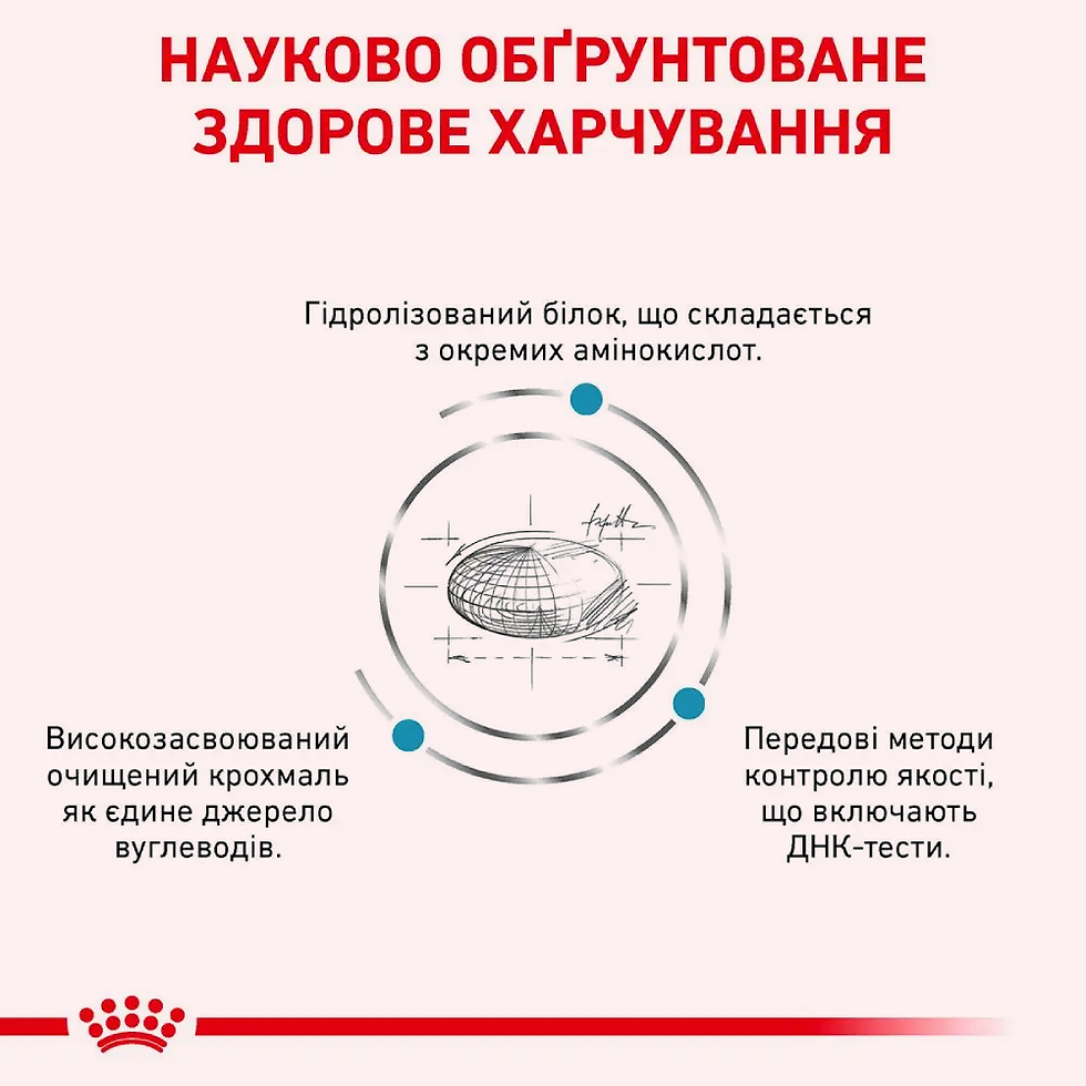 Прев'ю: Сухий корм для собак у разі харчової алергії Royal Canin Anallergenic 3 кг