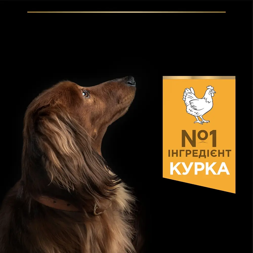 Прев'ю: Сухий корм для собак PRO PLAN Small&Mini Adult 1+ Everyday Nutrion 3 кг
