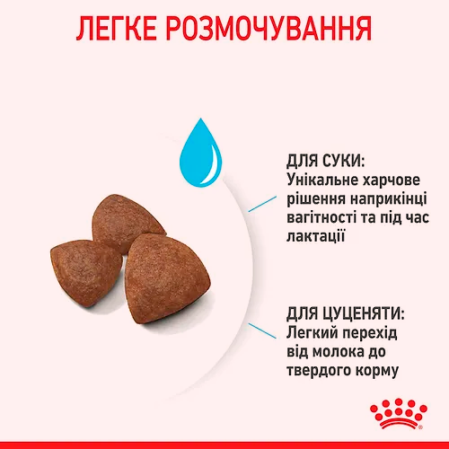 Прев'ю: Royal Canin Medium Starter Mother & Babydog сухий корм для вагітних собак 1кг