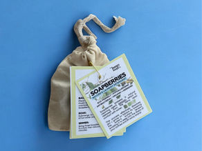 Soapberry Sachet