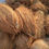 Thumbnail: Coconut