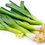 Thumbnail: Leeks