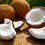 Thumbnail: Coconut